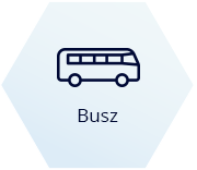 Buses