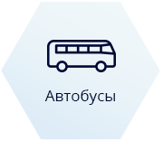 Buses